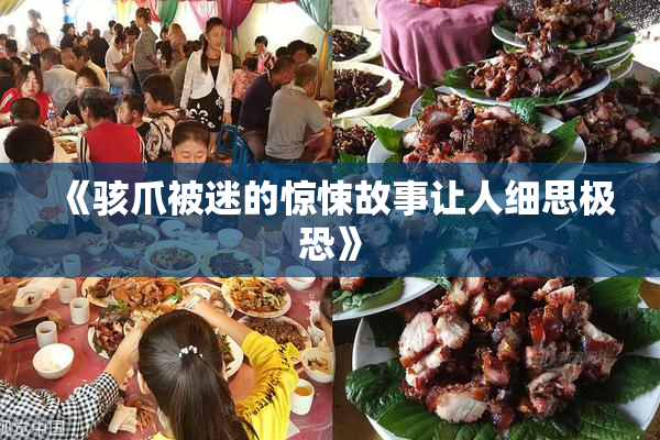《骇爪被迷的惊悚故事让人细思极恐》