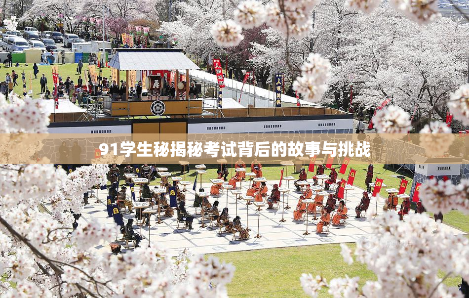 91学生秘揭秘考试背后的故事与挑战