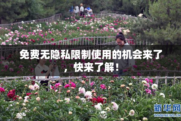 免费无隐私限制使用的机会来了，快来了解！