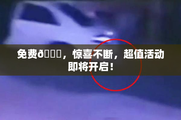 免费🔞，惊喜不断，超值活动即将开启！