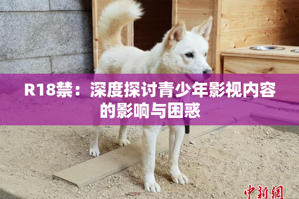 R18禁：深度探讨青少年影视内容的影响与困惑