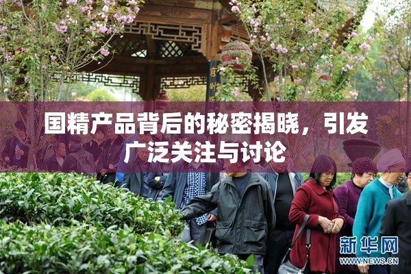 国精产品背后的秘密揭晓，引发广泛关注与讨论