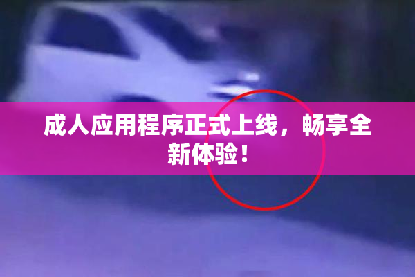 成人应用程序正式上线，畅享全新体验！