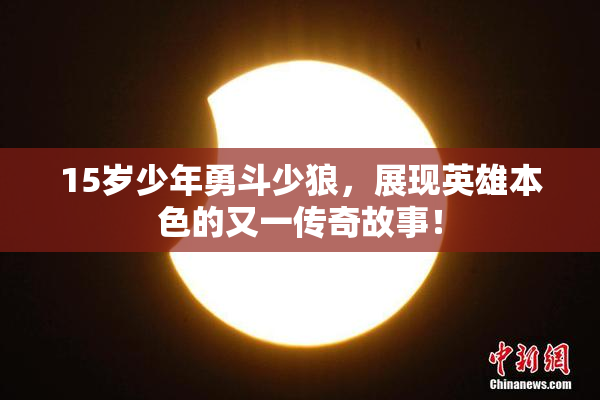 15岁少年勇斗少狼，展现英雄本色的又一传奇故事！