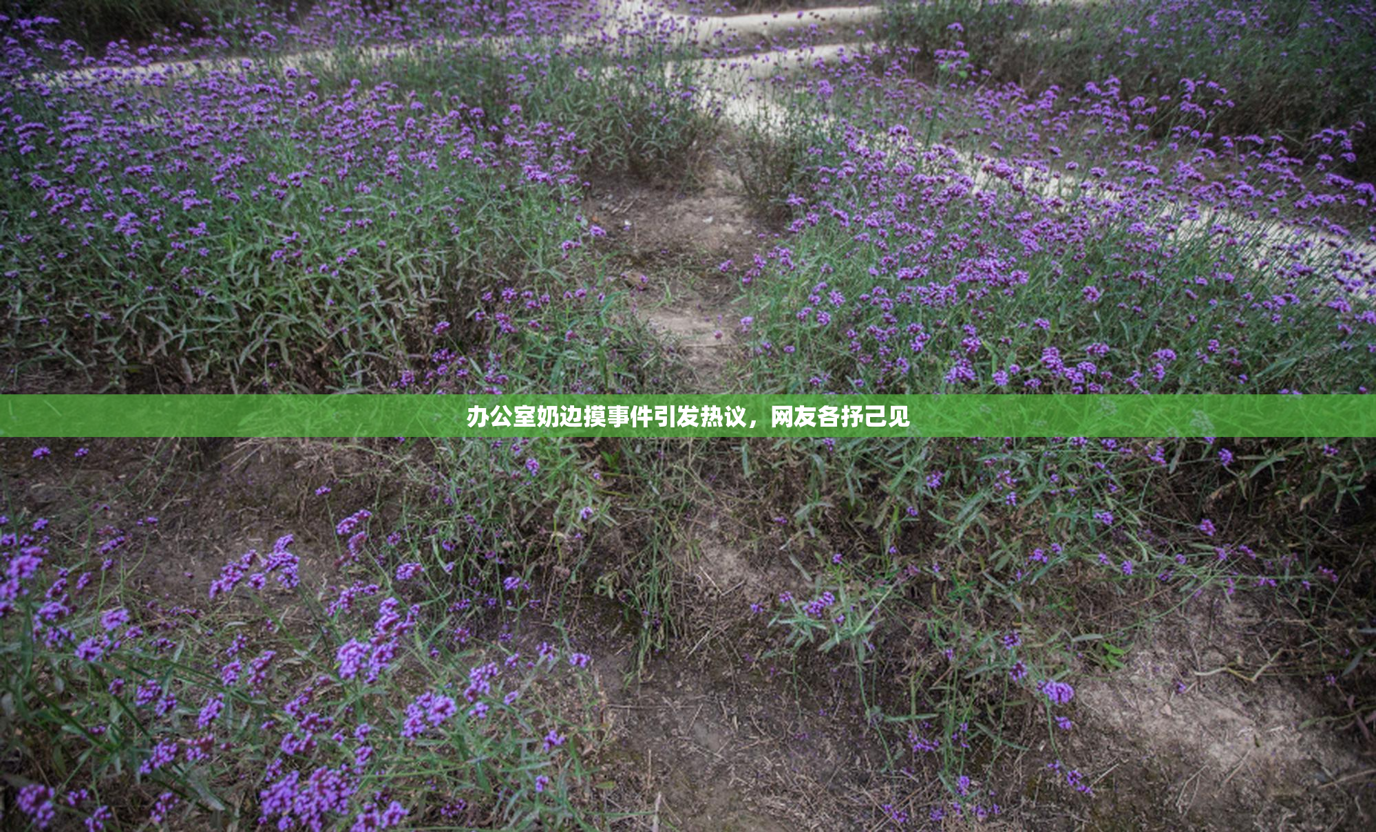 办公室奶边摸事件引发热议，网友各抒己见