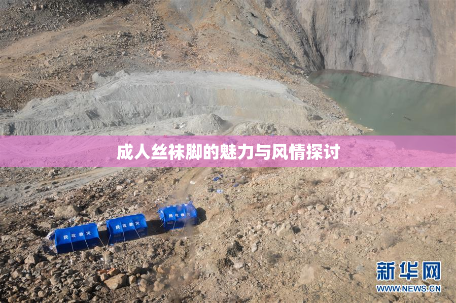 成人丝袜脚的魅力与风情探讨