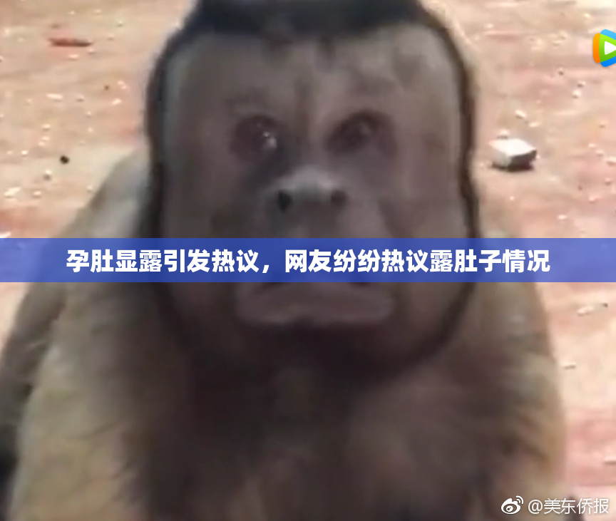 孕肚显露引发热议，网友纷纷热议露肚子情况