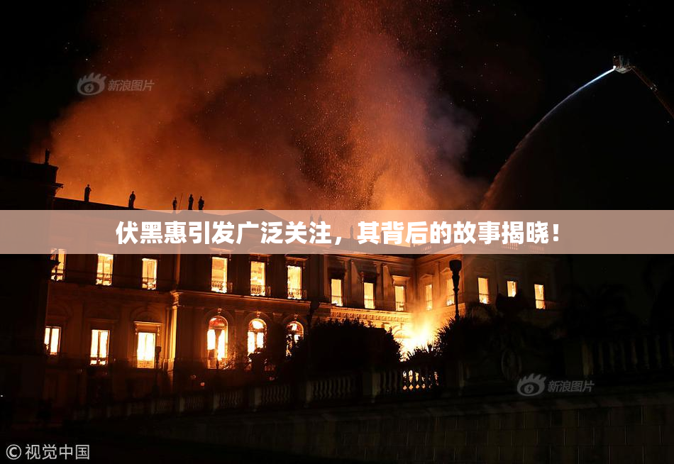 伏黑惠引发广泛关注，其背后的故事揭晓！