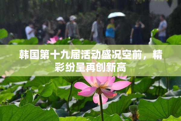 韩国第十九届活动盛况空前，精彩纷呈再创新高