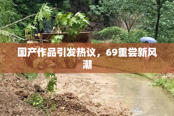 国产作品引发热议，69重尝新风潮