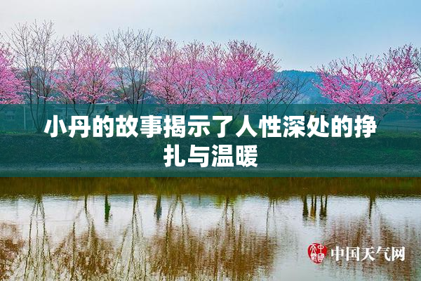 小丹的故事揭示了人性深处的挣扎与温暖