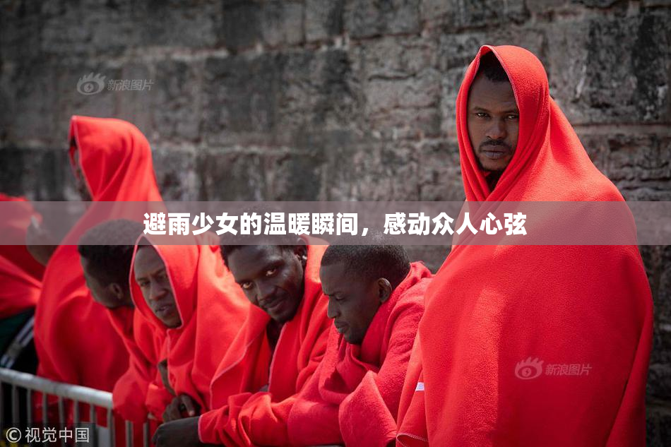 避雨少女的温暖瞬间，感动众人心弦