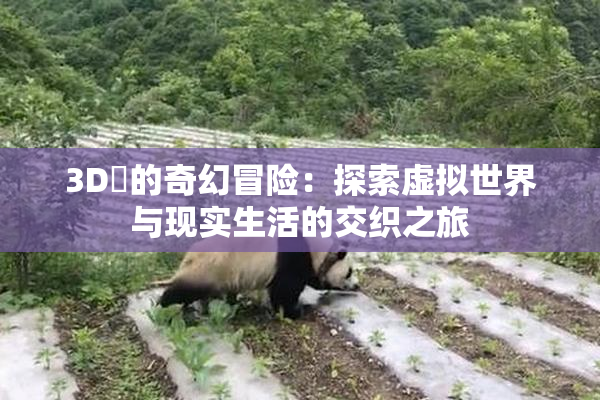 3D姉的奇幻冒险：探索虚拟世界与现实生活的交织之旅