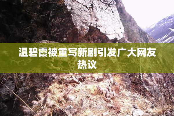 温碧霞被重写新剧引发广大网友热议