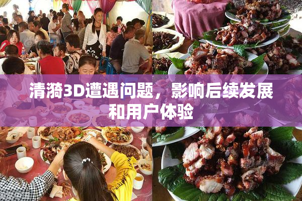 清漪3D遭遇问题，影响后续发展和用户体验