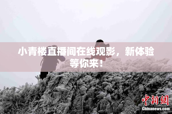 小青楼直播间在线观影，新体验等你来！