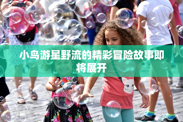 小鸟游星野流的精彩冒险故事即将展开
