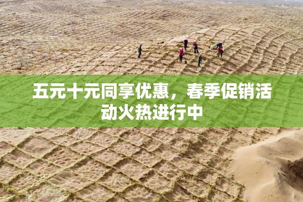 五元十元同享优惠，春季促销活动火热进行中