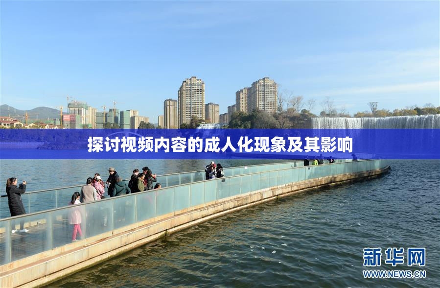 探讨视频内容的成人化现象及其影响