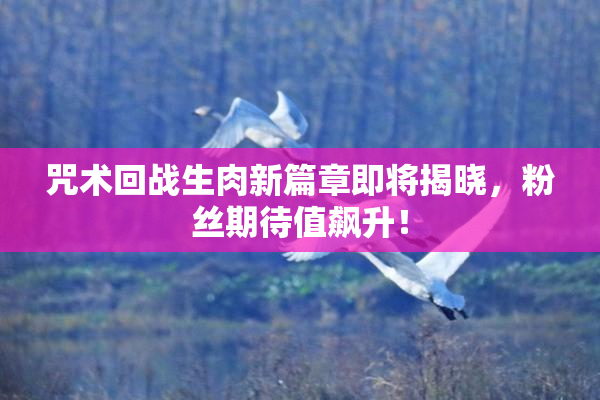 咒术回战生肉新篇章即将揭晓，粉丝期待值飙升！