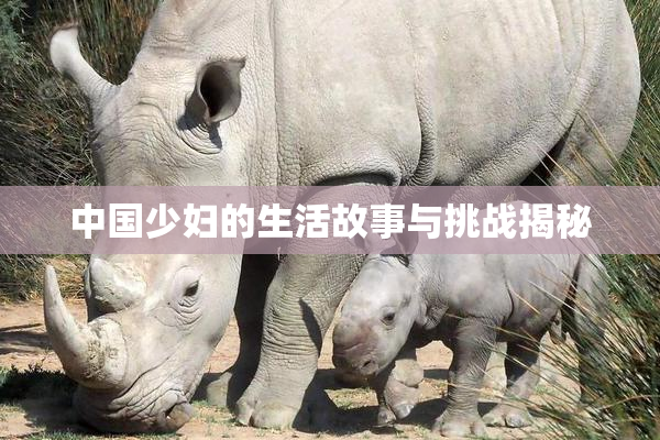 中国少妇的生活故事与挑战揭秘