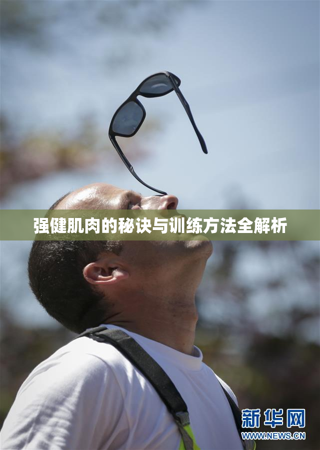 强健肌肉的秘诀与训练方法全解析