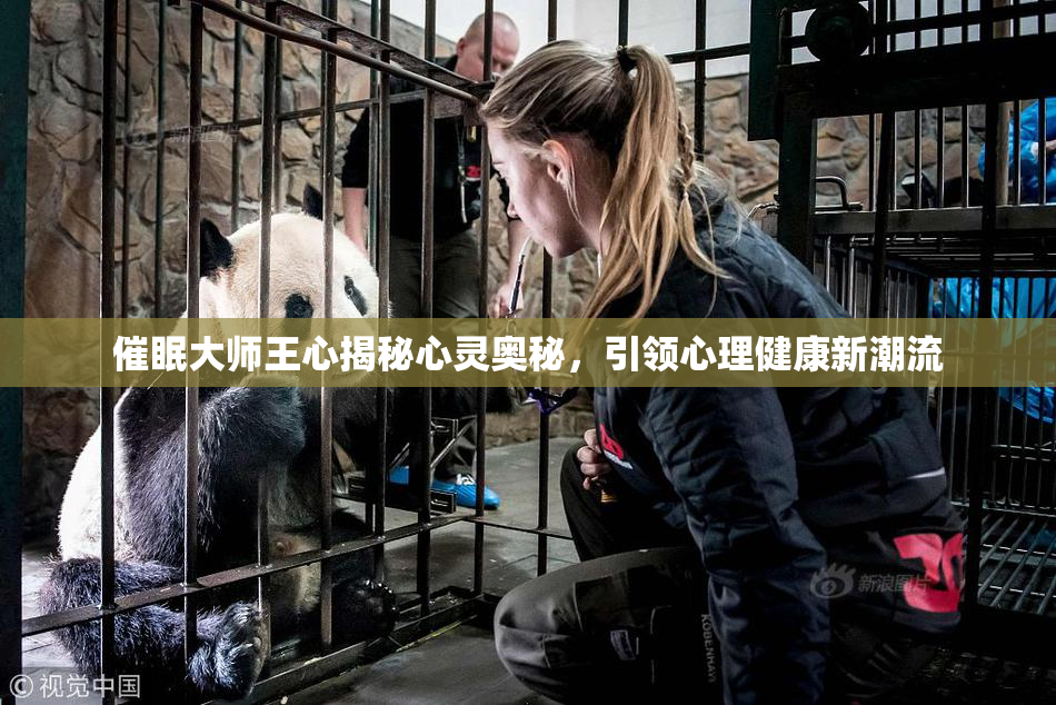 催眠大师王心揭秘心灵奥秘，引领心理健康新潮流