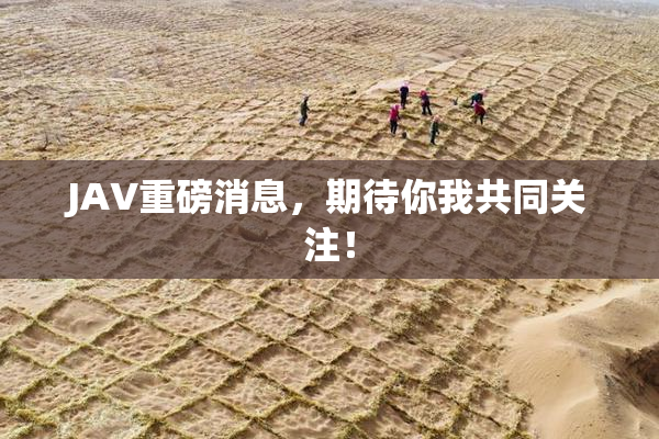 JAV重磅消息，期待你我共同关注！