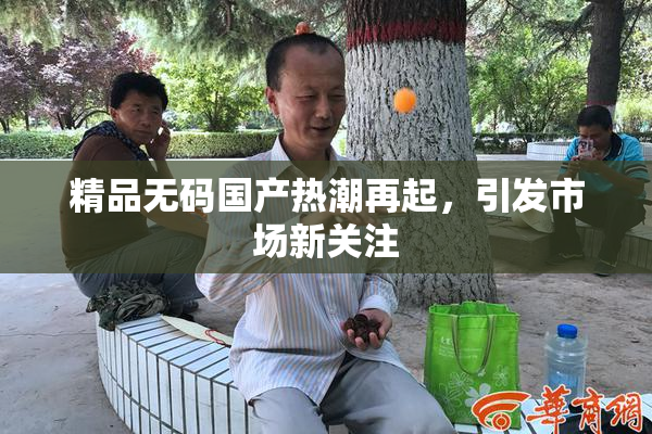 精品无码国产热潮再起，引发市场新关注