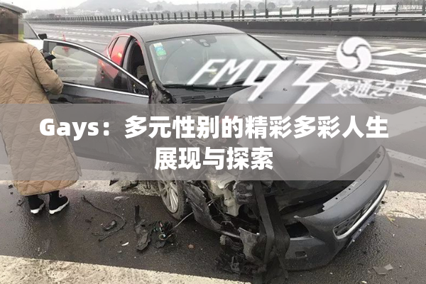 Gays：多元性别的精彩多彩人生展现与探索