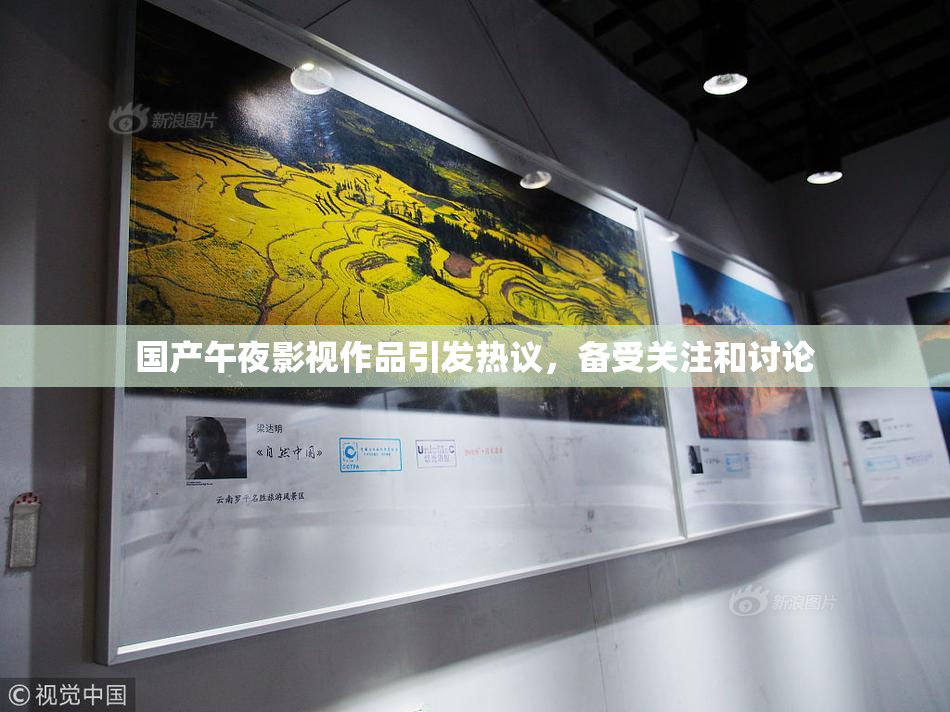 国产午夜影视作品引发热议，备受关注和讨论