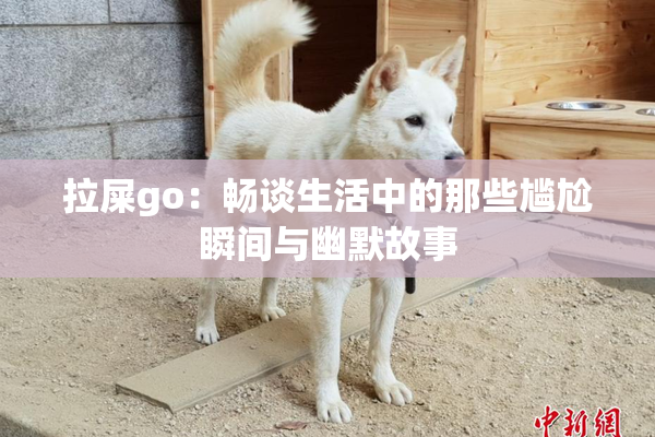 拉屎go：畅谈生活中的那些尴尬瞬间与幽默故事
