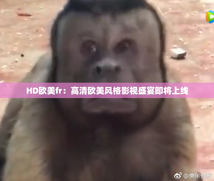 HD欧美fr：高清欧美风格影视盛宴即将上线