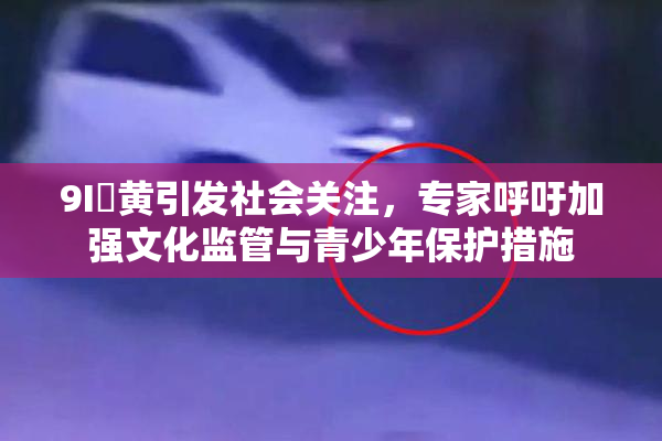 9I婬黄引发社会关注，专家呼吁加强文化监管与青少年保护措施