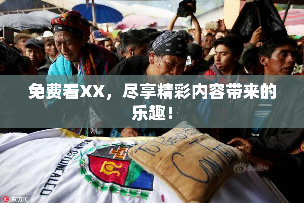 免费看XX，尽享精彩内容带来的乐趣！