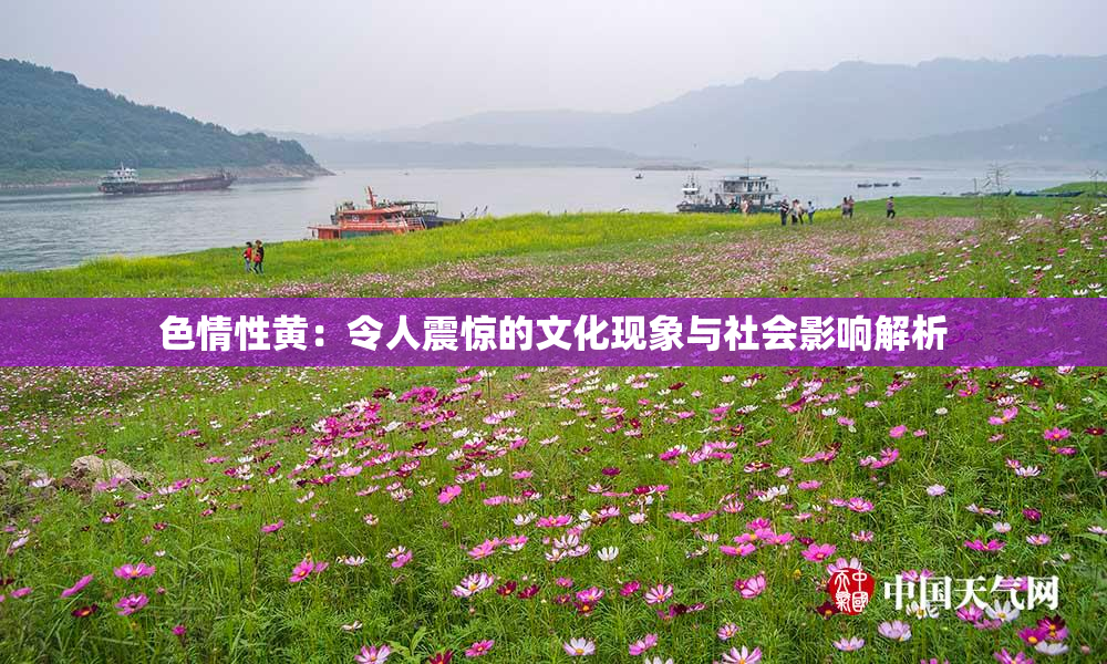色情性黄：令人震惊的文化现象与社会影响解析