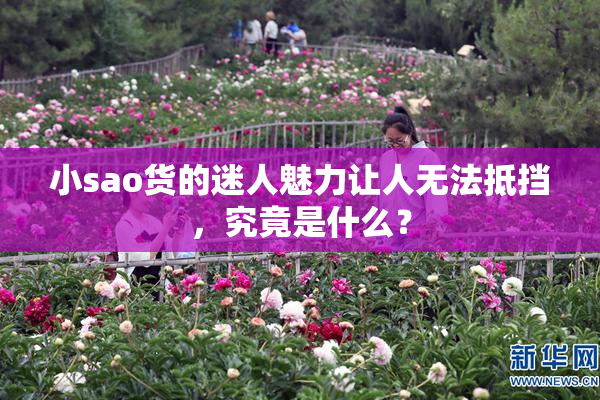 小sao货的迷人魅力让人无法抵挡，究竟是什么？