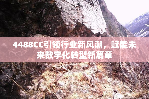 4488CC引领行业新风潮，赋能未来数字化转型新篇章