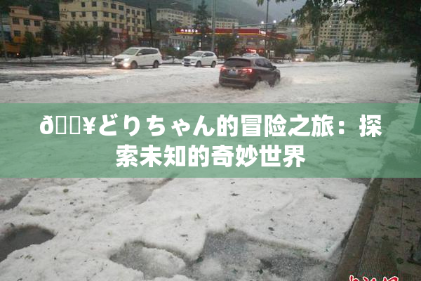 🔥どりちゃん的冒险之旅：探索未知的奇妙世界