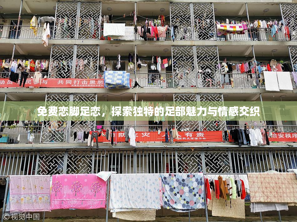 免费恋脚足恋，探索独特的足部魅力与情感交织
