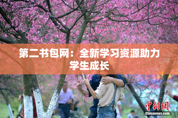 第二书包网：全新学习资源助力学生成长
