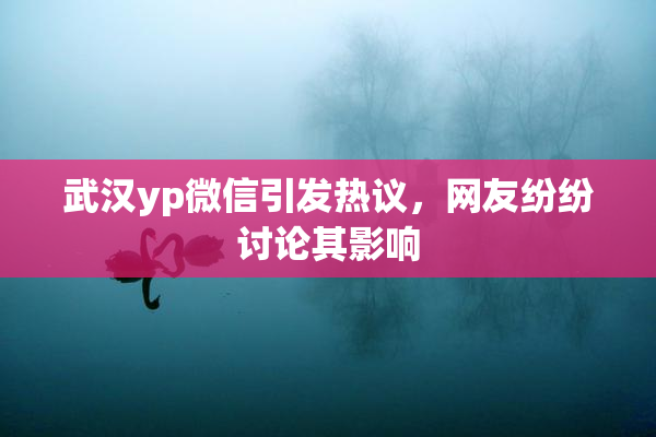 武汉yp微信引发热议，网友纷纷讨论其影响