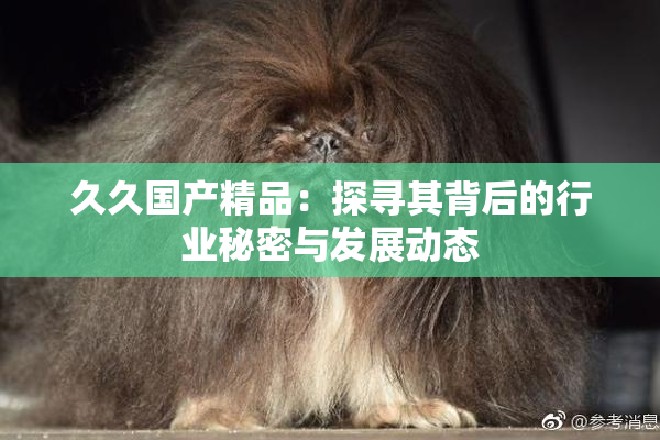 久久国产精品：探寻其背后的行业秘密与发展动态