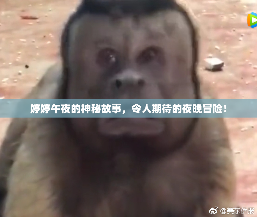 婷婷午夜的神秘故事，令人期待的夜晚冒险！