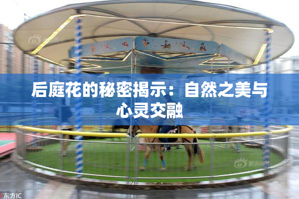 后庭花的秘密揭示：自然之美与心灵交融