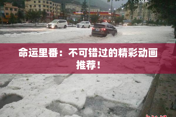 命运里番：不可错过的精彩动画推荐！