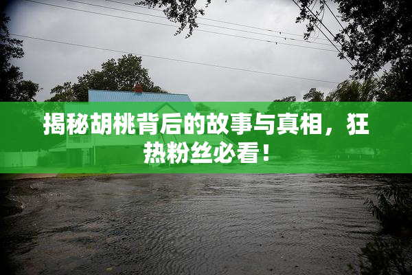 揭秘胡桃背后的故事与真相，狂热粉丝必看！