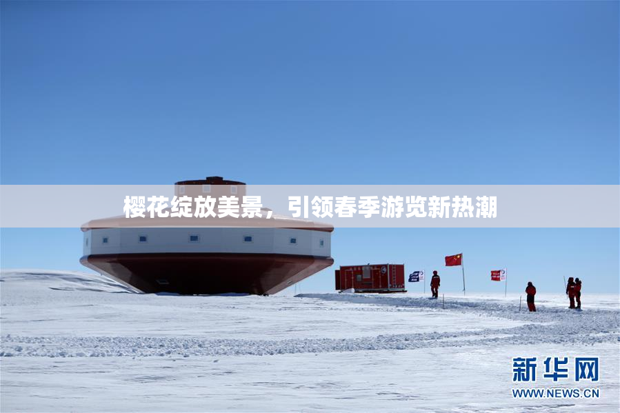 樱花绽放美景，引领春季游览新热潮