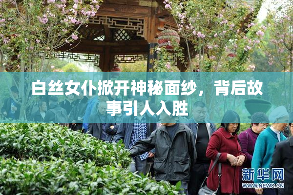 白丝女仆掀开神秘面纱，背后故事引人入胜