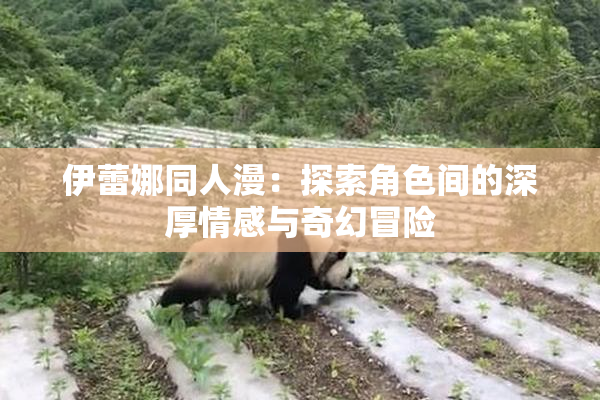 伊蕾娜同人漫：探索角色间的深厚情感与奇幻冒险